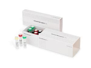 Rapid Barcoding Kit 24 V14 .